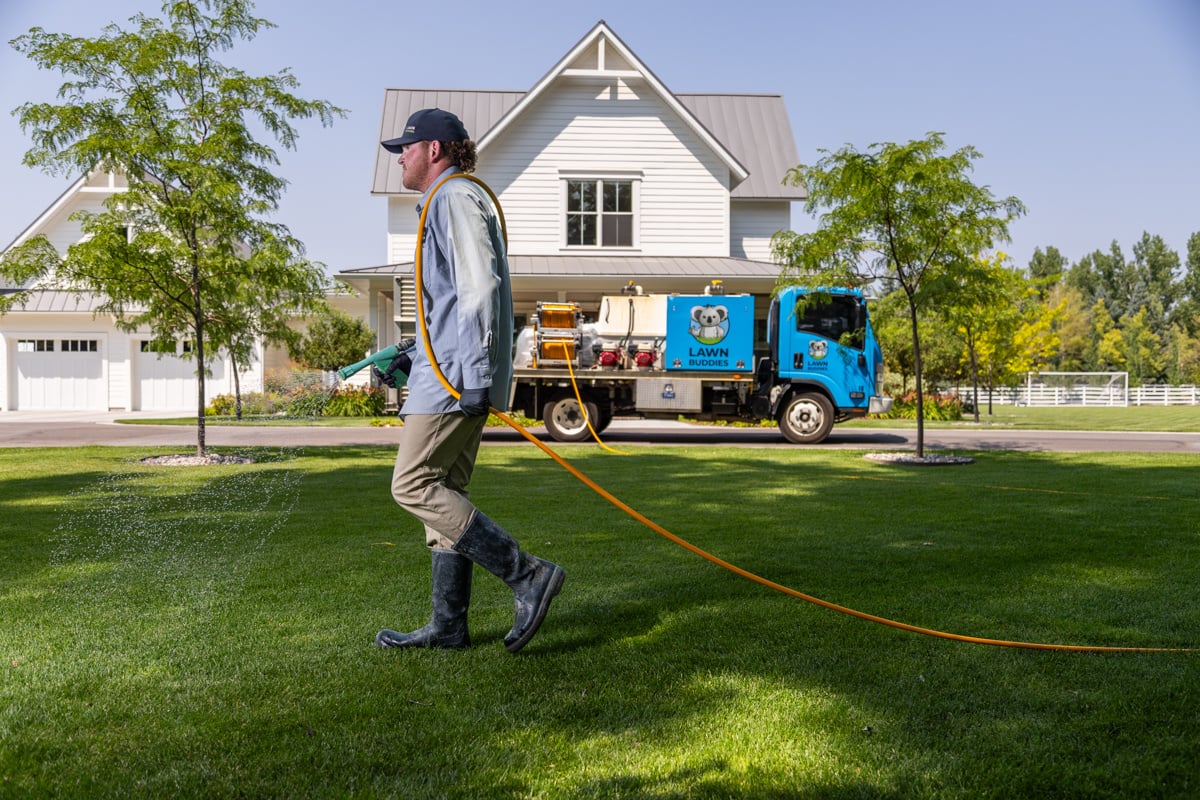 lawn nice green turf shade trees home house front entry entrance lawn truck crew technician service 6