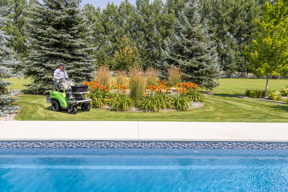 yard service action machine home house green turf lawn trees pool plants evergreen trees