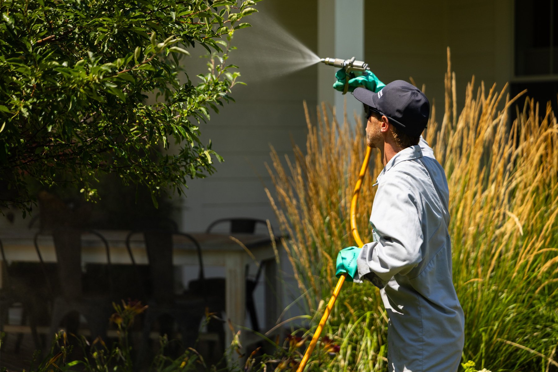 plant health care technician spraying trees shrubs landscape equipment