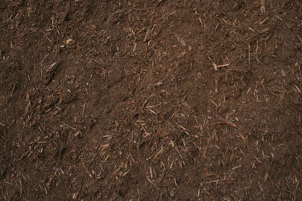 Mulch