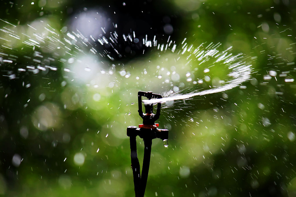 sprinkler head watering grass in fall