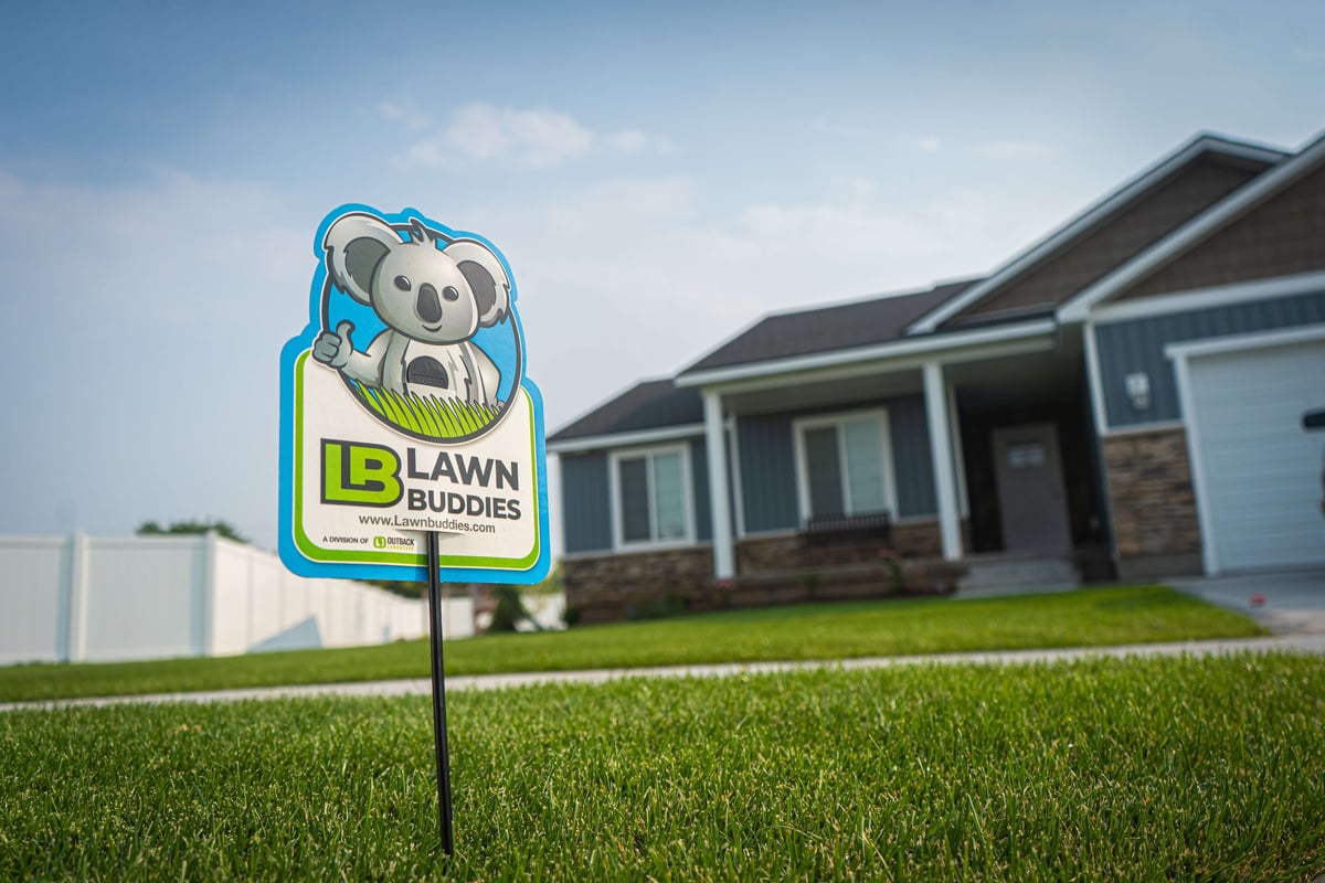 fertilization sign in healthy lawn