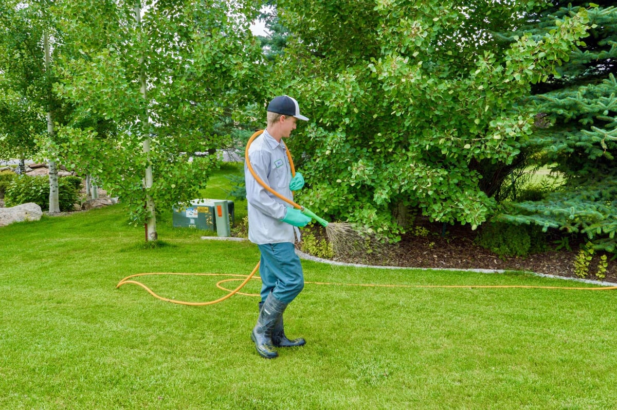 lawn care technician spraying lawn