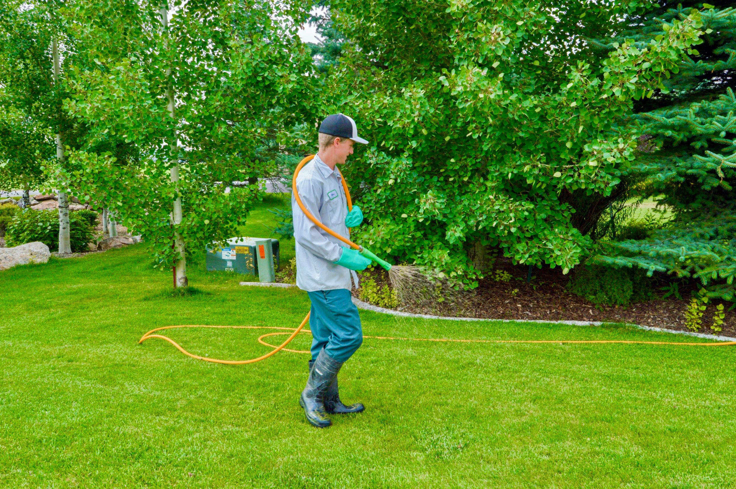 Lawn care team spot treating weeds