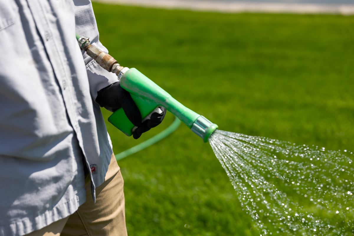 hose spraying weed control on lawn