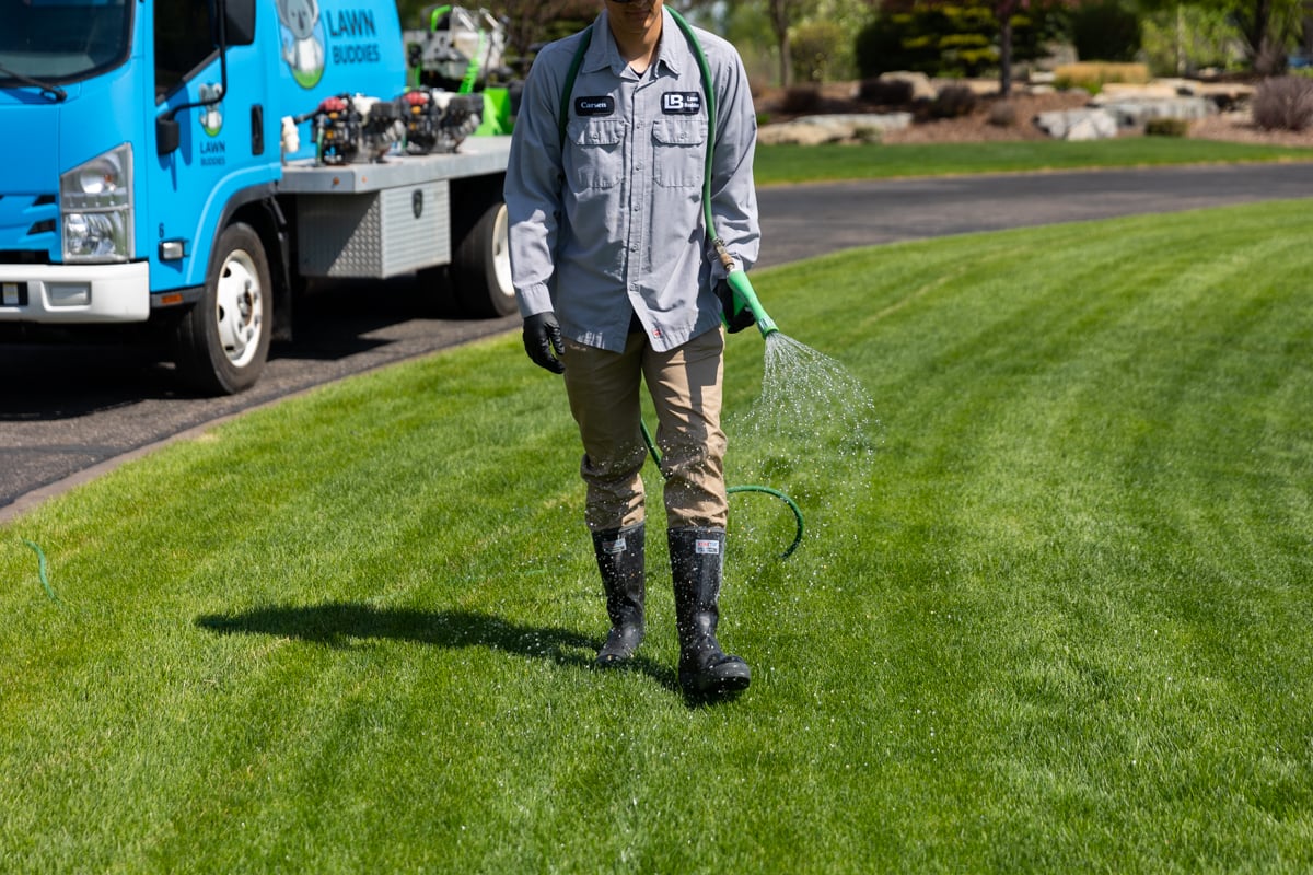 lawn care technician sprays grass