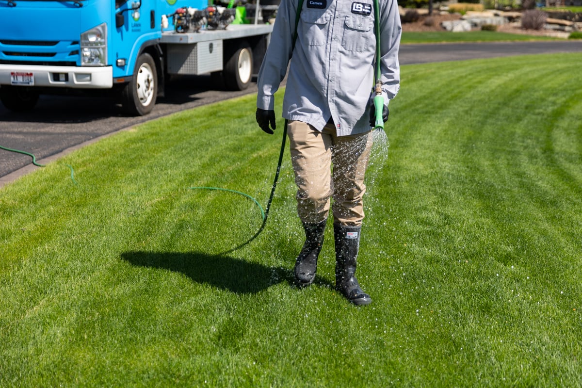 lawn care technician sprays grass