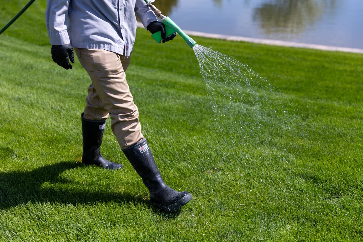 lawn care expert sprays lawn for weeds