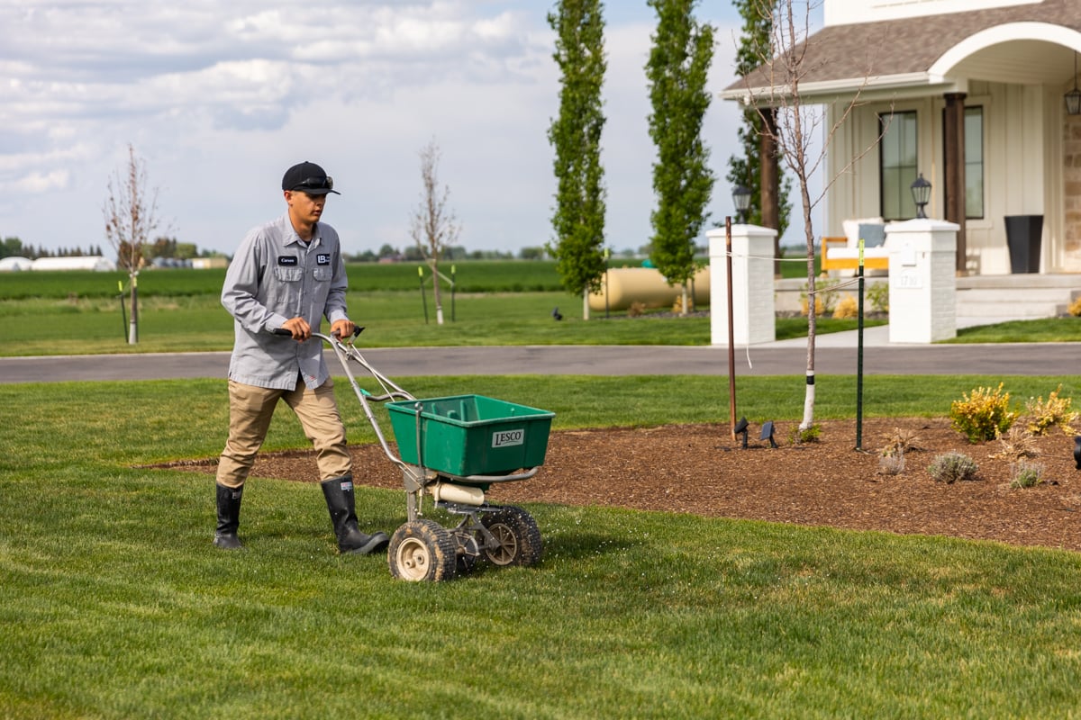 lawn care professional fertilizes grass