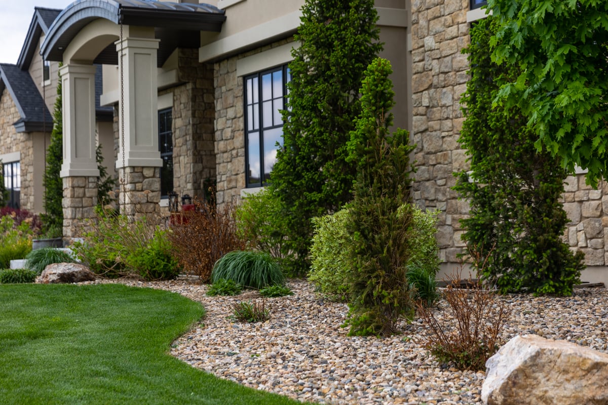 shrubs in landscape bed near entrance of home