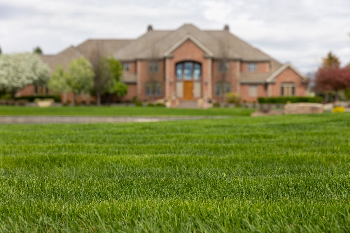 home with healthy green grass