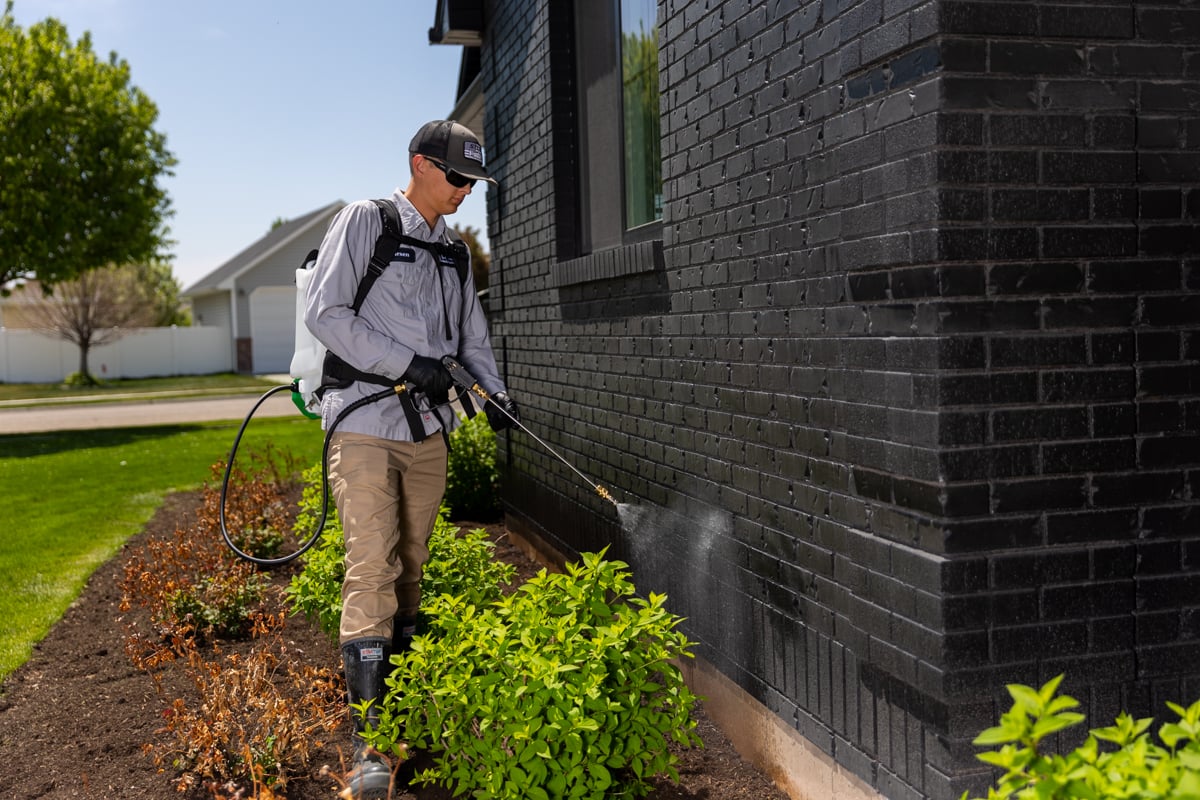 pest control expert sprays near foundation of home