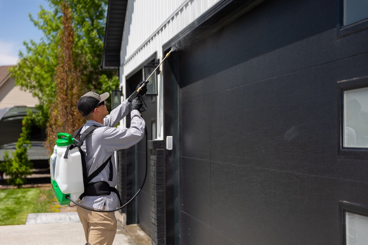 pest control technician spraying for bugs near garage