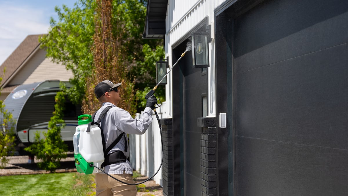 pest control team sprays near garage