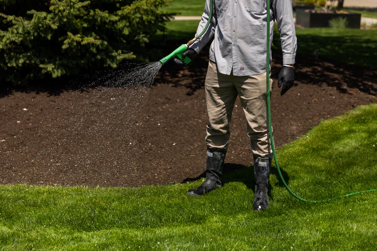 lawn care expert sprays for weeds near mulch landscape beds