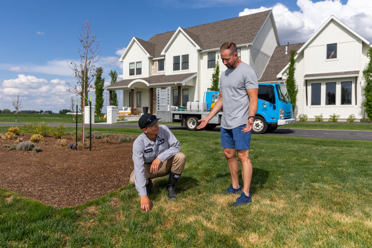 lawn expert inspects grass with homeowner