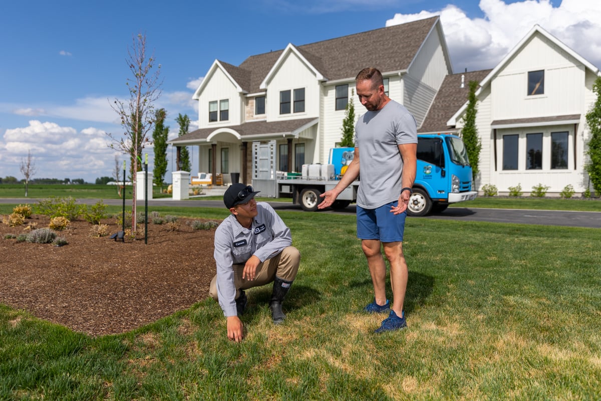 lawn care expert inspects grass with homeowner