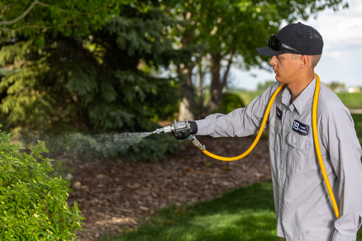Technician Spraying Fertilization Pest Control Shrubs Plant Health 2
