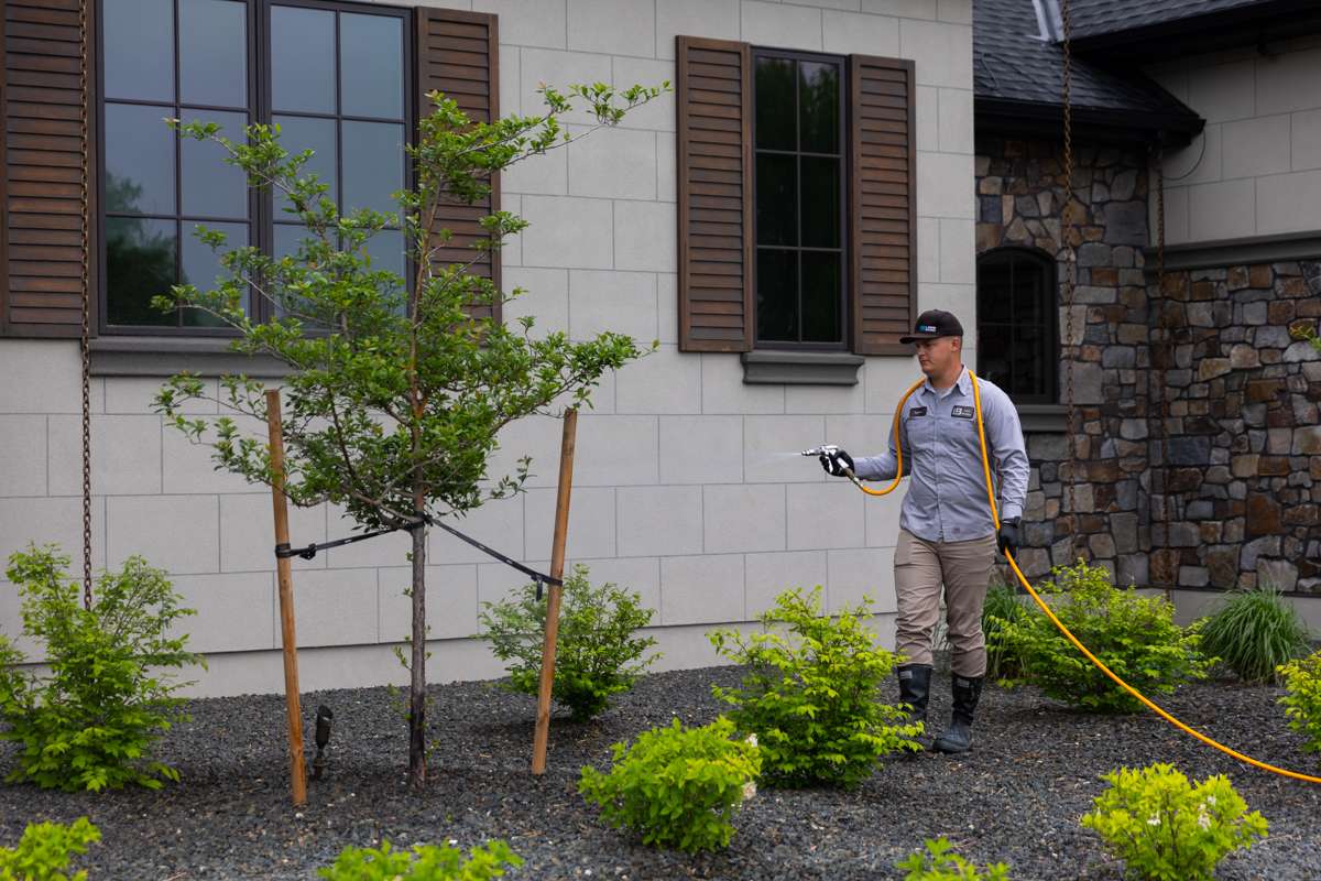 Technician Spraying Fertilization Plant Health Trees 2