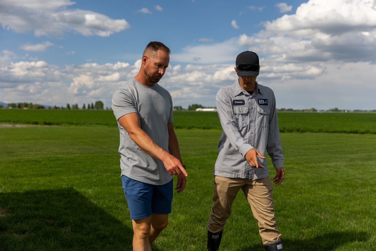 homeowner and lawn care expert inspect grass