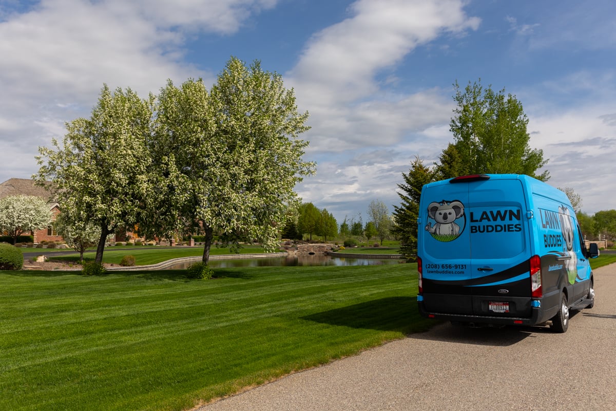 lawn buddies van parked near healthy grass