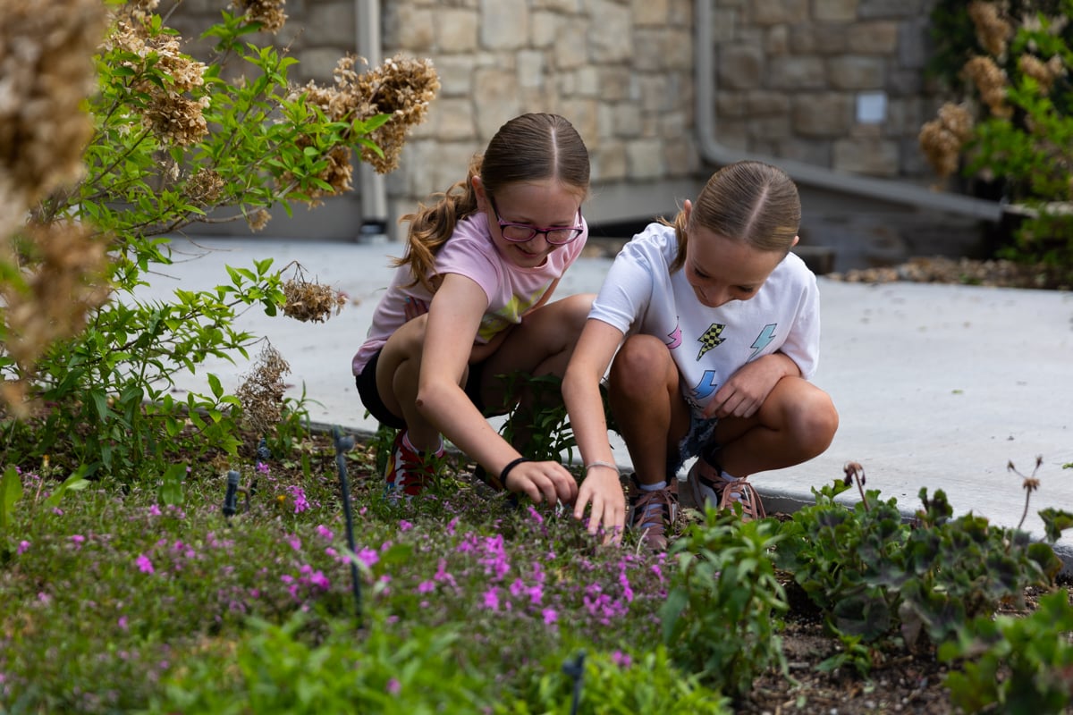 kids playing in flower bed