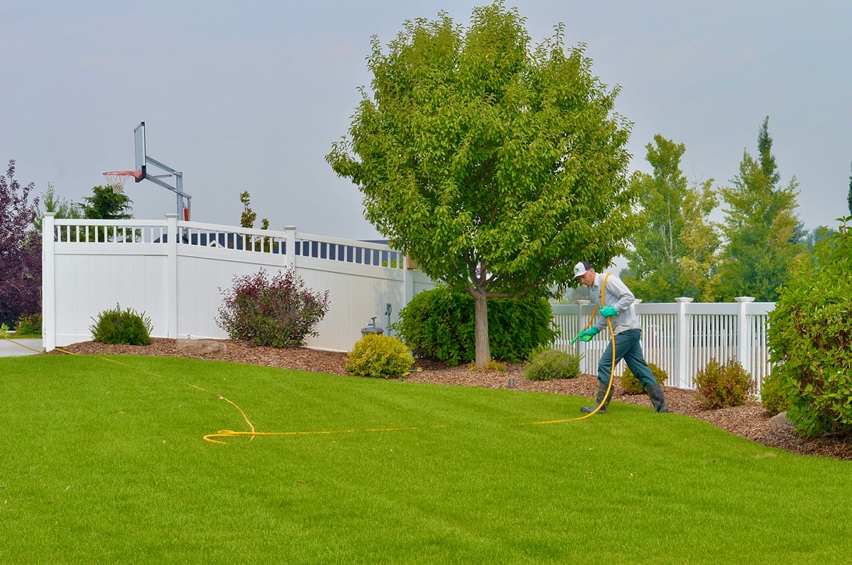 lawn care team sprays grass