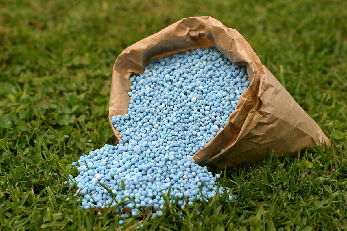 Lawn fertilizer in bag poured out on lawn