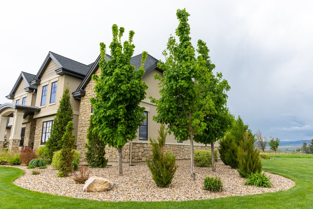 Home with River Rock Bed Shrubs Trees