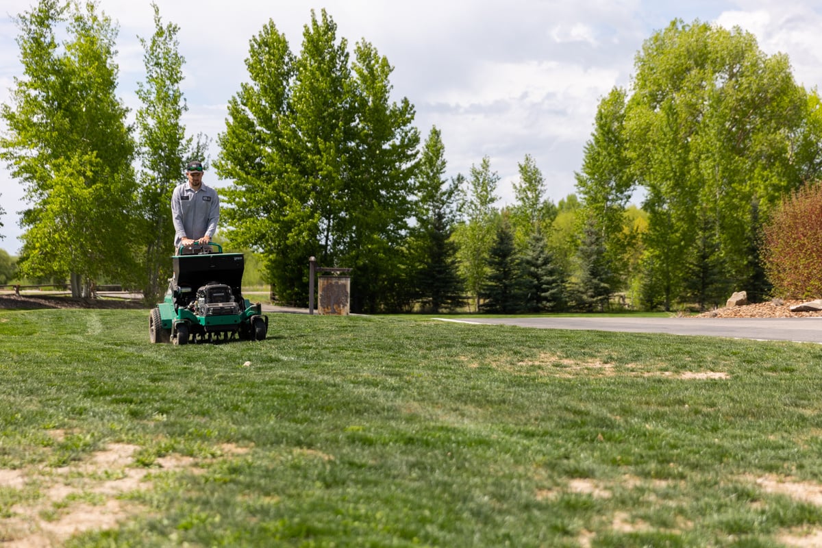 lawn aeration on patchy grass