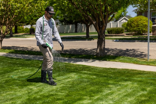post-emergent weed control spraying