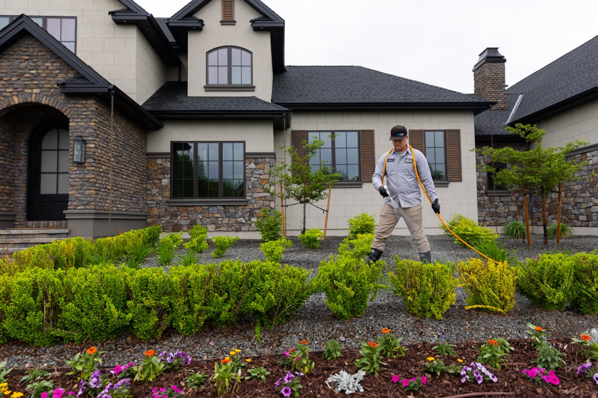 Technician Spraying Fertilization Plant Health Shrubs 1