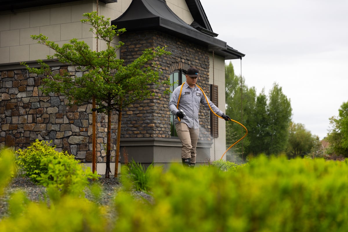 Technician Spraying Fertilization Plant Health Shrubs 3