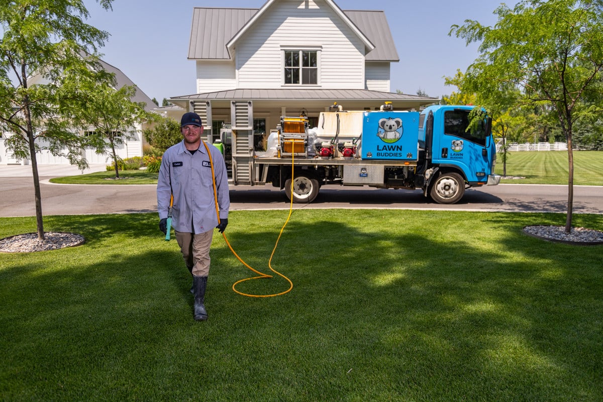 lawn nice green turf shade trees home house front entry entrance lawn truck crew technician service 2
