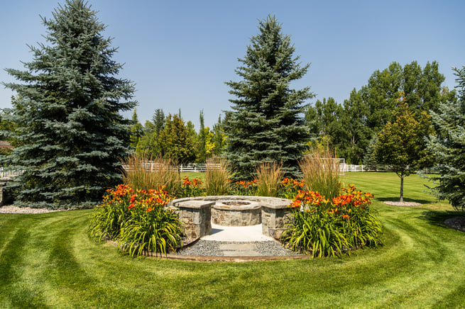 lines firepit plant planting bed color seating lawn evergreens grasses