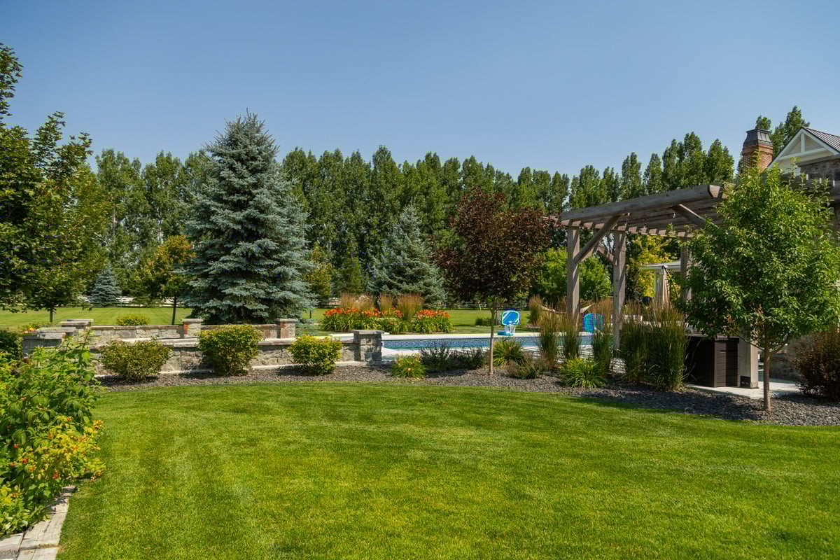 lawn with beautiful green grass
