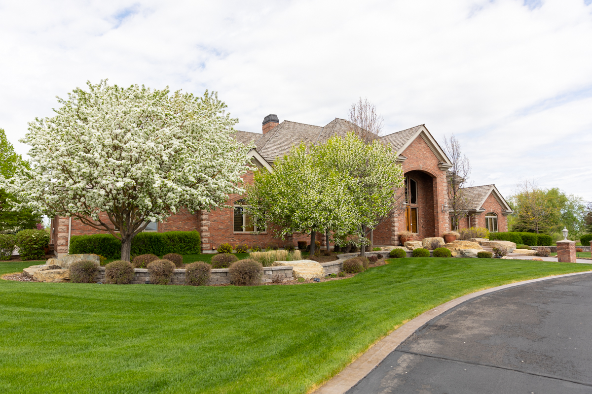 Healthy grass in nice lawn in Idaho