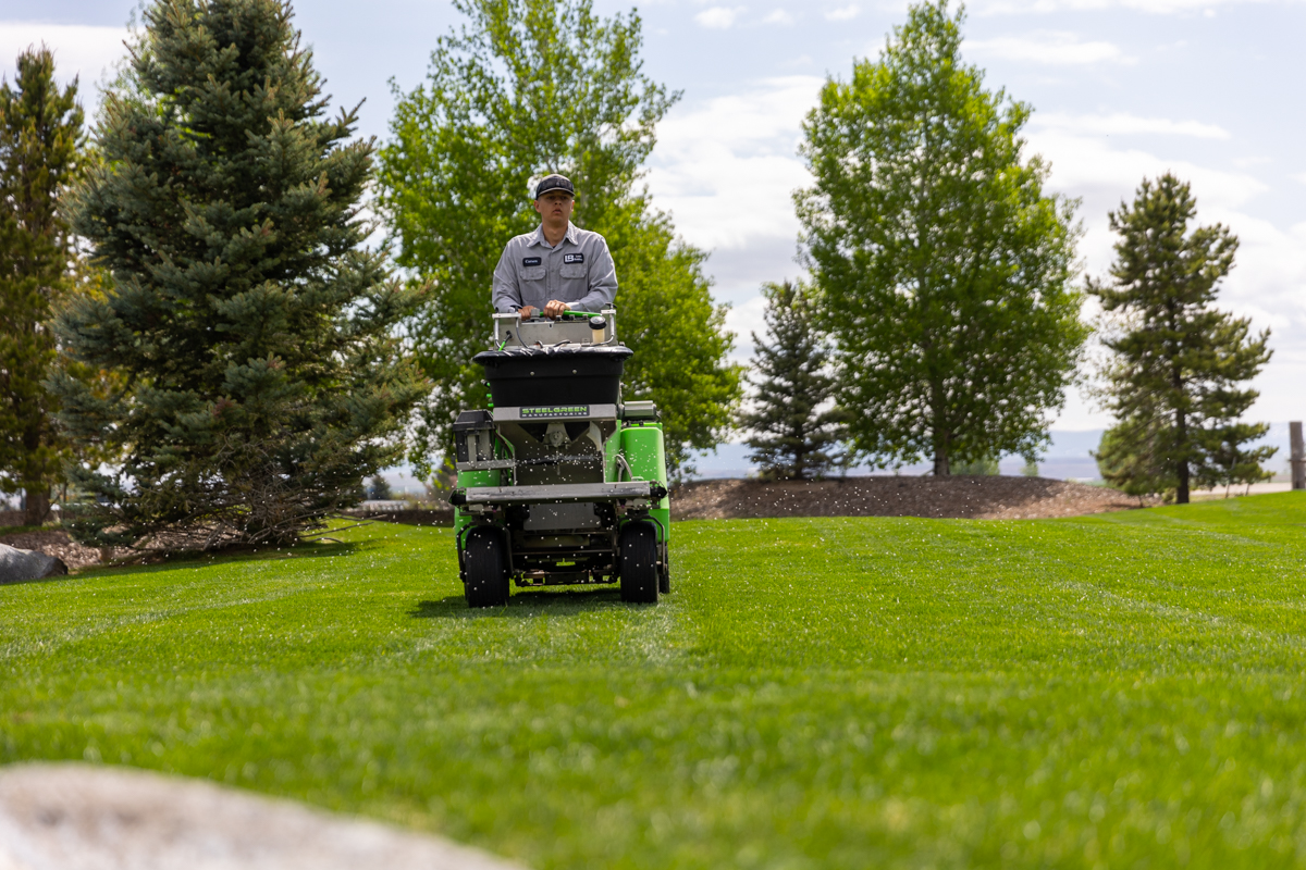 lawn care applying fertilizer to grass